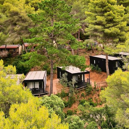 Le Pianacce Camping Village 卡斯塔涅托卡尔杜奇 外观 照片