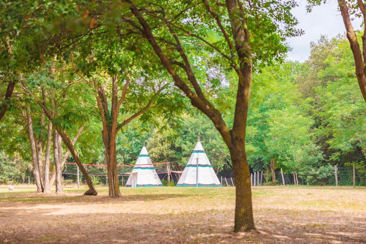 Le Pianacce Camping Village 卡斯塔涅托卡尔杜奇 外观 照片